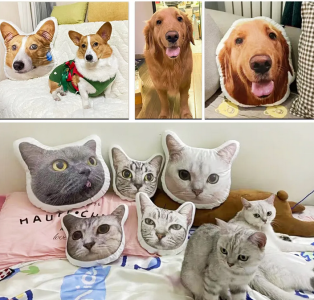 Photo Custom Shape Pillow Case DIY Pet Cushion Toys Dolls Stuffed Animal Dog Cat Picture Pillow Customization Sofa Car Cushion 7