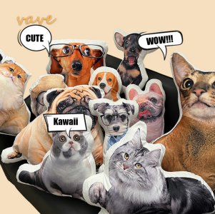 Photo Custom Shape Pillow Case DIY Pet Cushion Toys Dolls Stuffed Animal Dog Cat Picture Pillow Customization Sofa Car Cushion 6