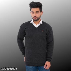 Pretty Graceful Men Sweaters 3
