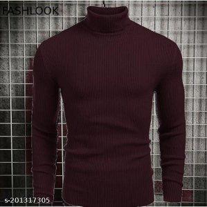 Stylish Fashionista Men Sweaters 4