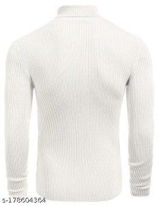 Classic Glamorous Men Sweaters 3