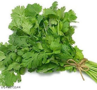 Graceful Vegetables 4