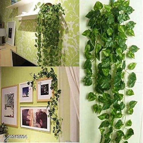 Attractive Plants