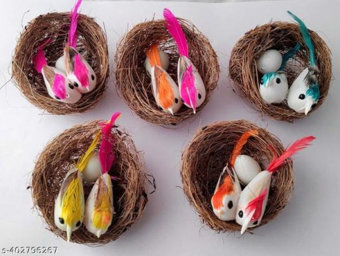 Classic Bird Nests