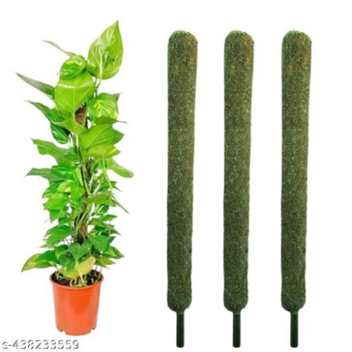 Royal Plant Accessories