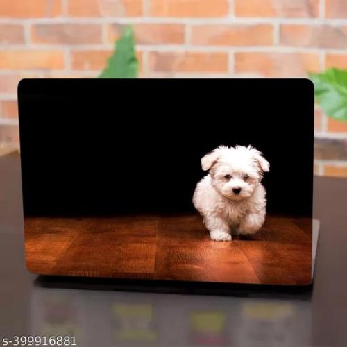 Classic Laptop Skins